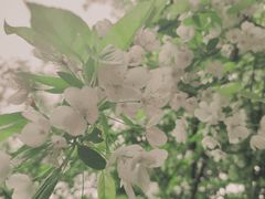 -南山植物园