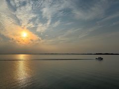 -上海佘山国家森林公园西佘山园