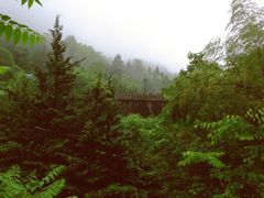 -黄山温泉国际旅游度假区