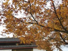 -新镜界眼镜(乐坊大华生活广场店)