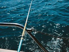 -小猫钓鱼海钓俱乐部(椰梦长廊店)