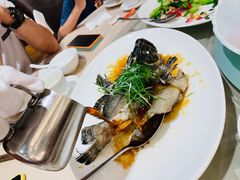 清蒸笋壳鱼-海逸海鲜酒家(古北店)