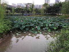 -沐仙湖湿地公园