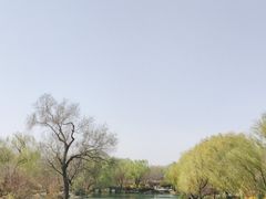 -济南大明湖景区