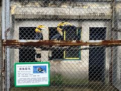 -合肥野生动物园
