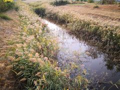 景点-官港森林公园
