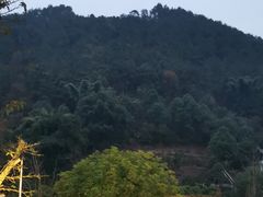 -楠柏弯休闲山庄(梨花溪店)