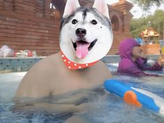 -欢乐水魔方水世界