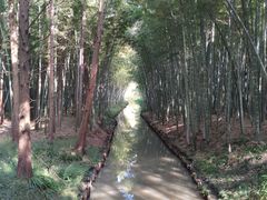 -同里国家湿地公园