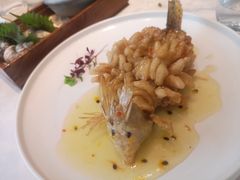 精灵松鼠桂鱼-海味观(老西门店)