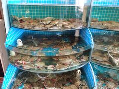 -蓝珊甄选海鲜自助·火锅大排档(近阿那亚店)
