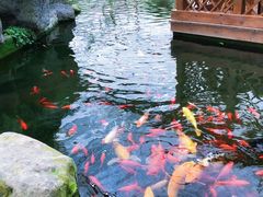 -汤山翠谷生态餐厅