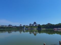 -莲花池公园