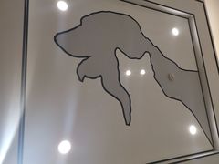 -北京派仕佳德动物医院·超导核磁·CT·神经科·骨科·内外科·急重症管理中心