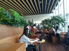 -Seesaw Coffee(朝阳大悦城店)