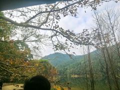 -广州市石门国家森林公园
