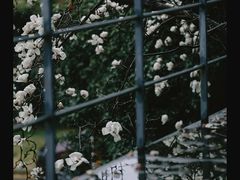 -南京晨光1865创意产业园