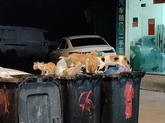 -福道