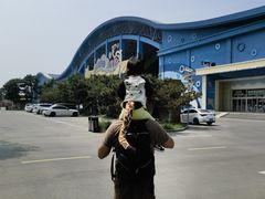 -泉城欧乐堡海洋极地世界