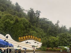 -西双版纳原始森林公园