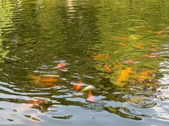 -湖畔居茶楼(湖滨店)