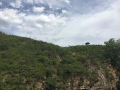 -双新垂钓园