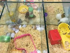 -米卢宠物公园(广华居店)