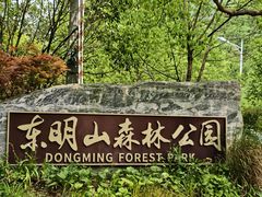 -东明山森林公园