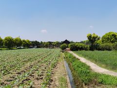 -广东花都香草世界旅游度假区