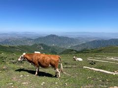 -灵山