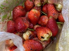 -雪儿钱局泡菜