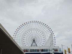 -大阪海游馆