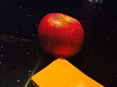 -萧邦音乐会所KTV·蒸汽活海鲜自助(福田店)