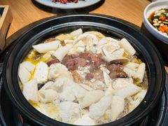 -一朵菌·野生菌探索家火锅(南亚店)