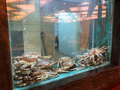 大堂-海逸海鲜酒家(古北店)
