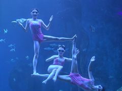 -多彩贵州城极地海洋世界