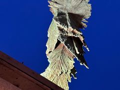 -上巴拉卡花园和下巴拉卡花园