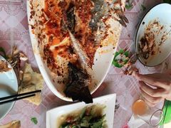 -遇见小院—虹鳟鱼•农家菜(怀柔店)