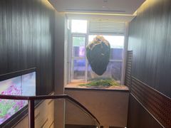 -映像威海·威海宴(威高广场店)