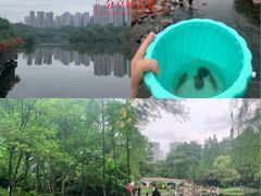 -重庆彩云湖湿地公园