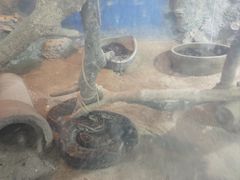 -泉州海丝野生动物世界