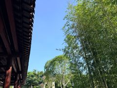 -高旻寺
