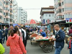 -哈尔滨道外花鸟鱼市场