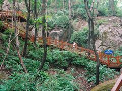 -大岭沟猕猴桃谷风景区