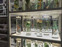 -北京中医药大学-中医药博物馆