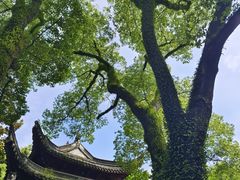-天一阁博物院
