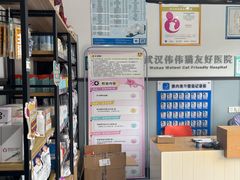-伟伟宠物医院·瑞派猫友好医院·猫科(光谷店)