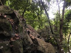 -杭州西湖风景名胜区-三生石