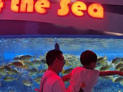 -海合安成都极地海洋公园