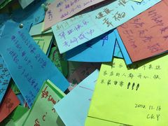 -志龙皇冠吃货椰子铺